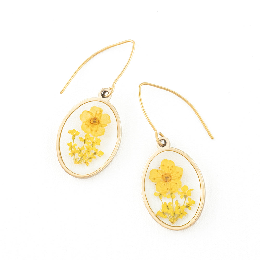 Glow Boxing Day Bundle