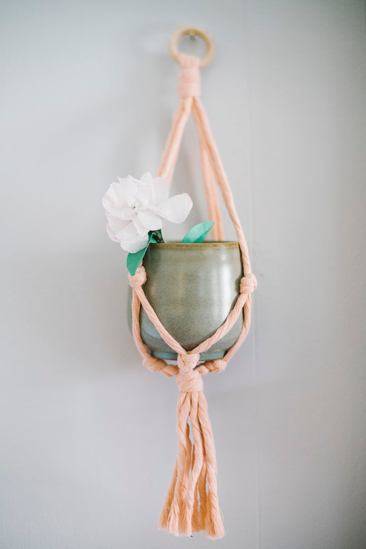 Mini Flourish Plant Hanger Blush